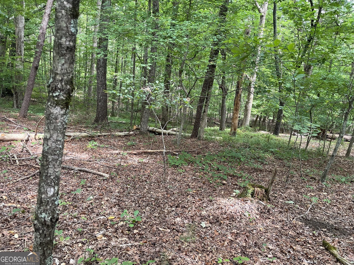 Lot 16 Calhoun Road Property Photo 5