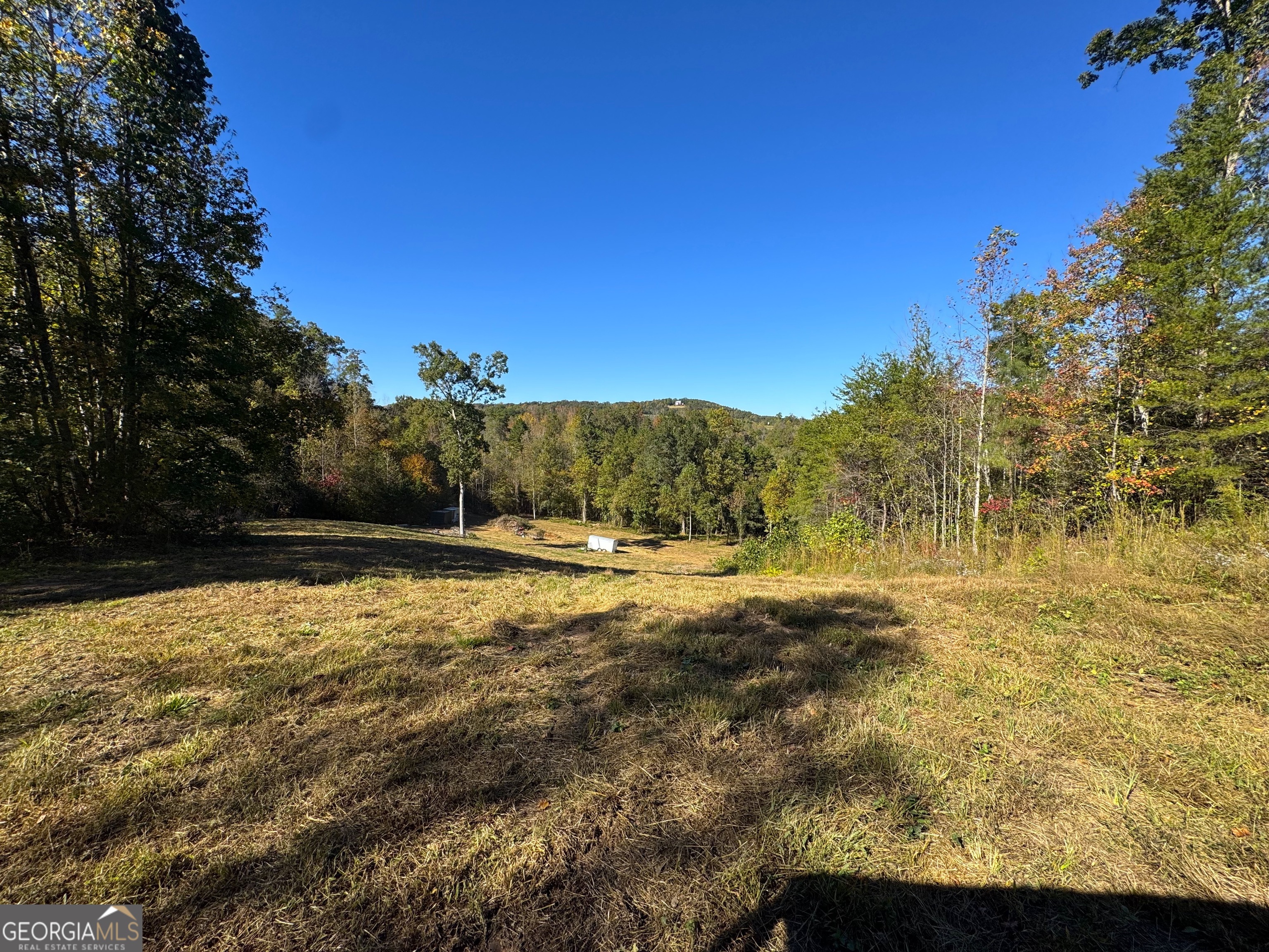 284 River Road Property Photo 41