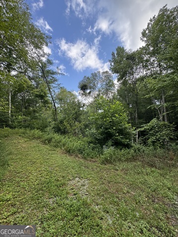 0 Crest Lane Lot 5 Property Photo 1