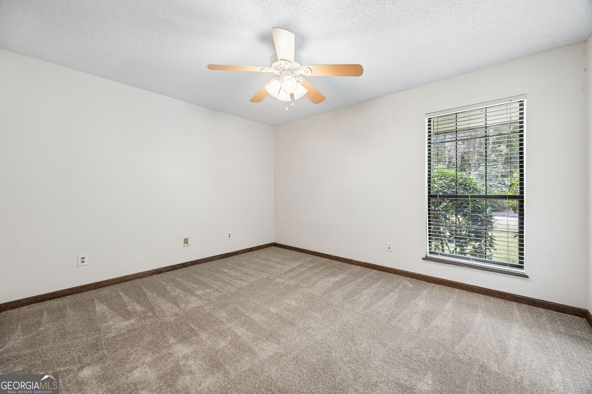 811 Park Street Property Photo 51