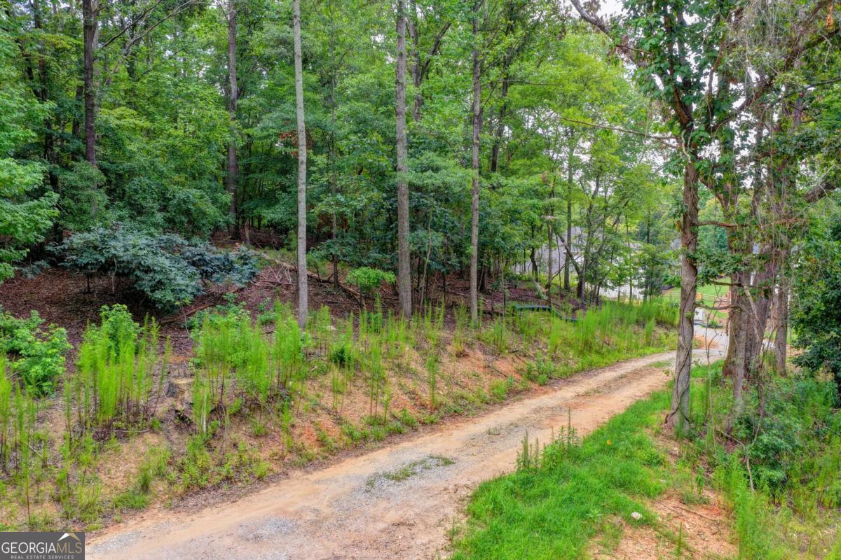 0 Pruitt Road Property Photo 13