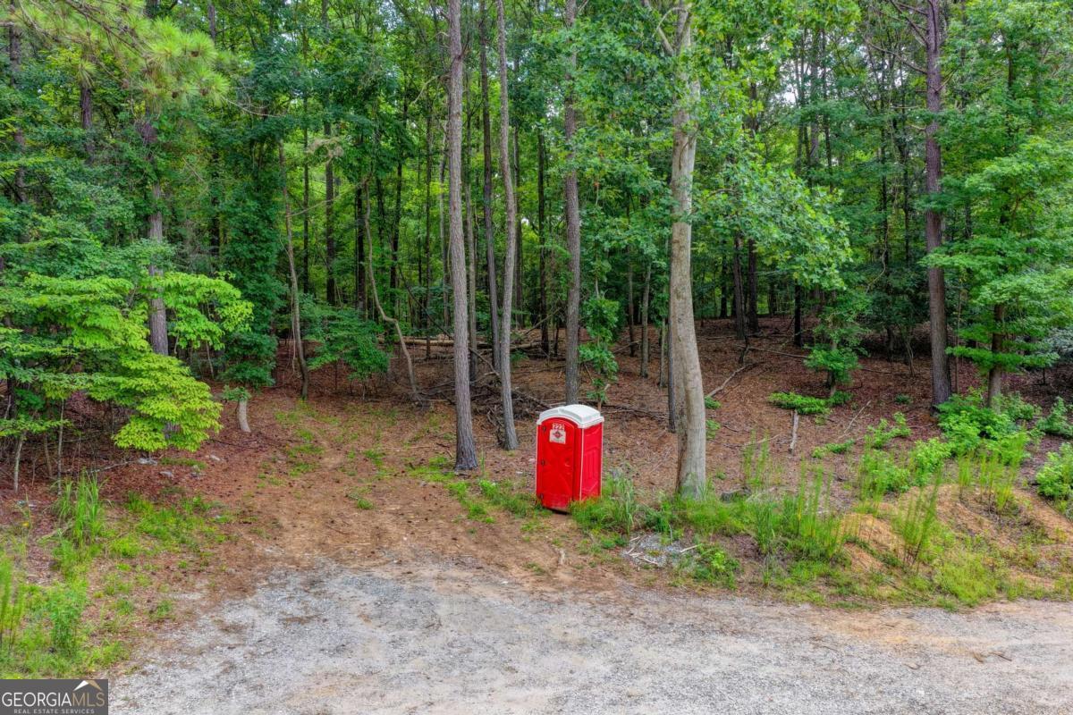 0 Pruitt Road Property Photo 15