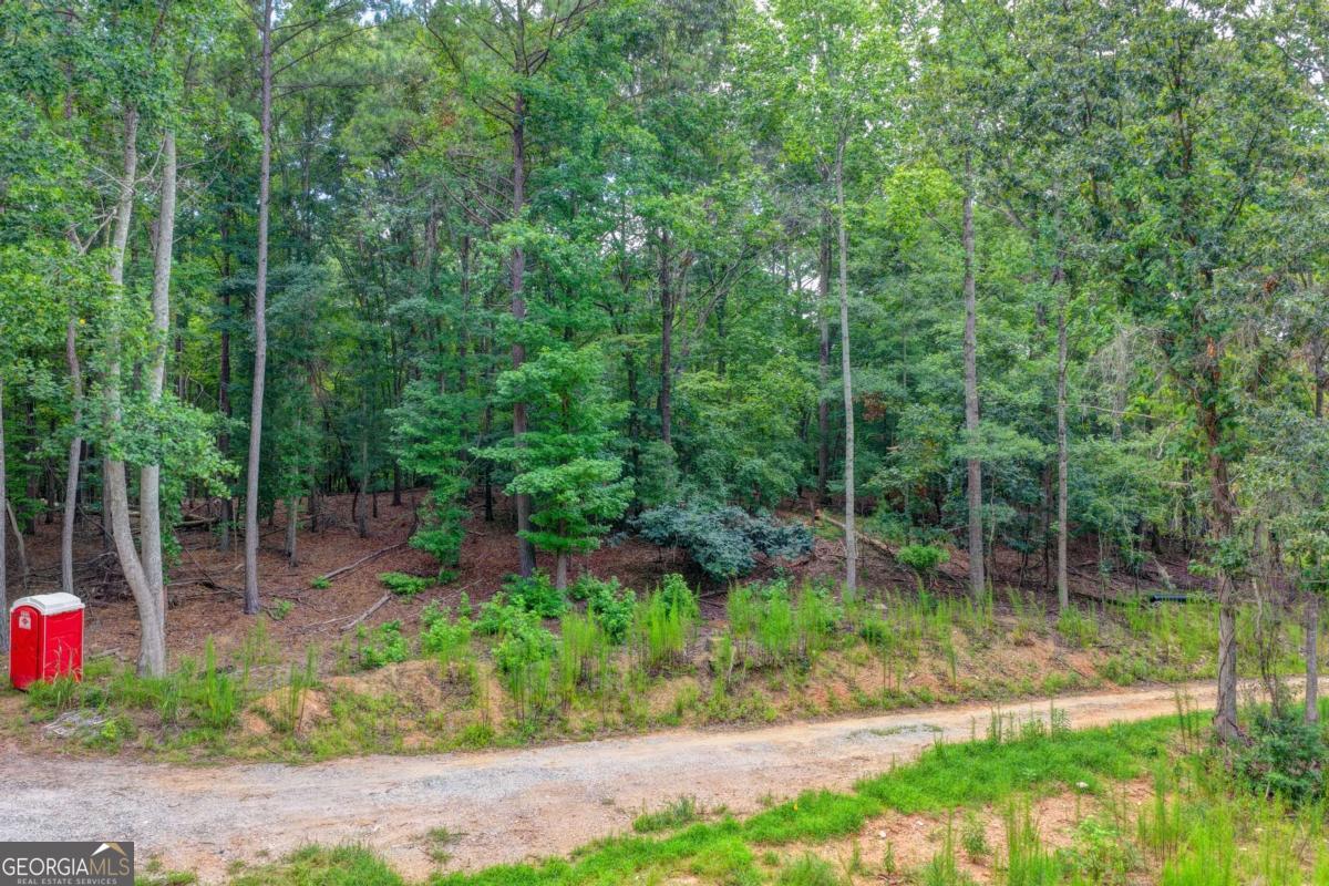 0 Pruitt Road Property Photo 17