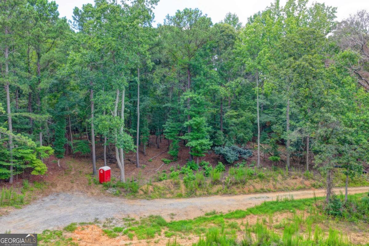0 Pruitt Road Property Photo 18