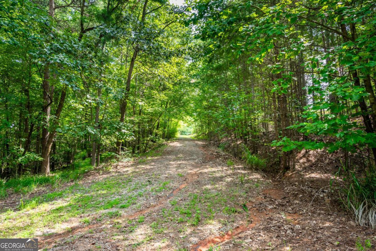 271 Big Sky Lane Property Photo 59