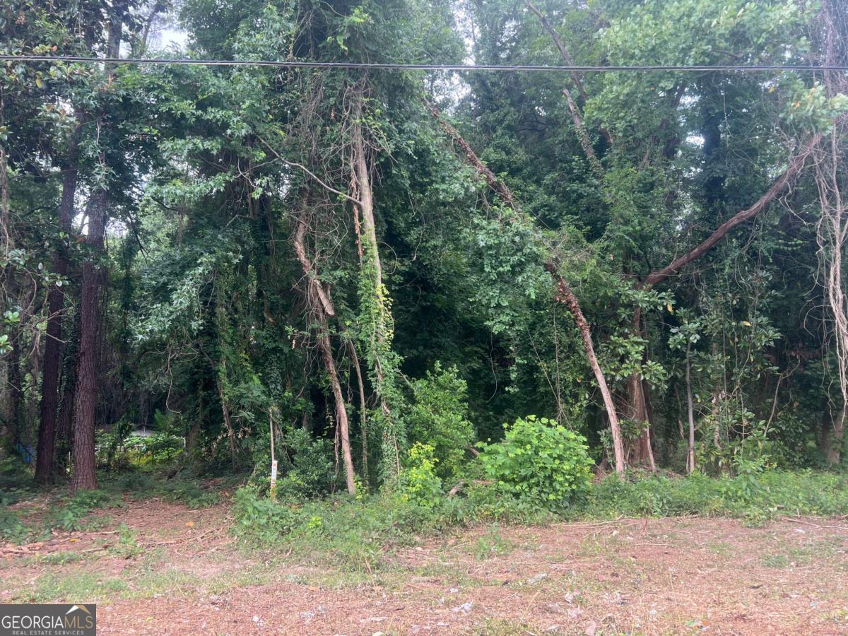 5547 Jonesboro Road Property Photo 3