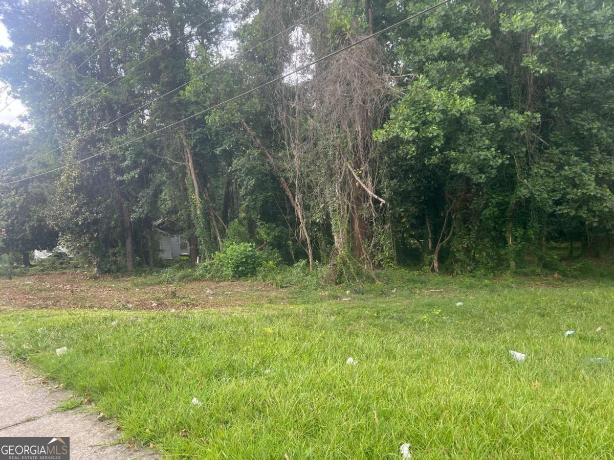 5547 Jonesboro Road Property Photo 4