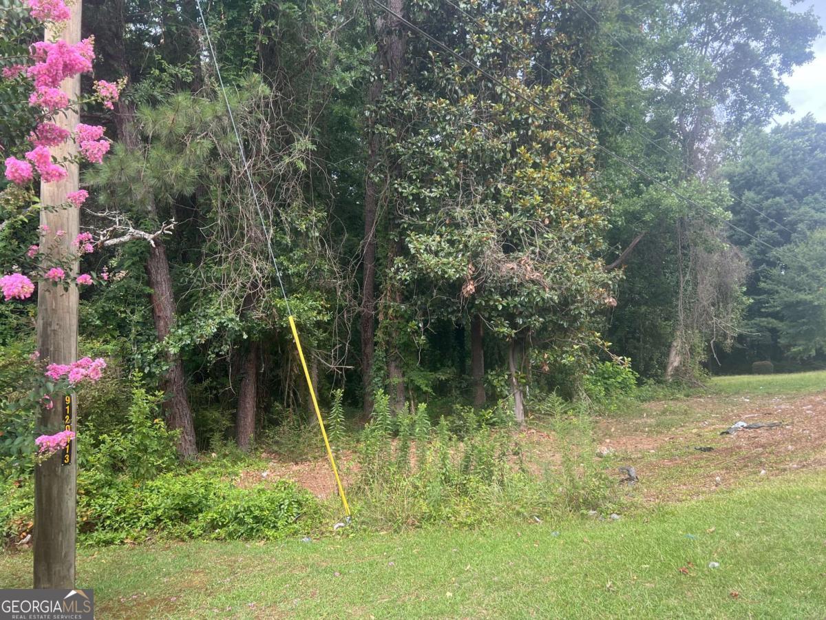 5547 Jonesboro Road Property Photo 7