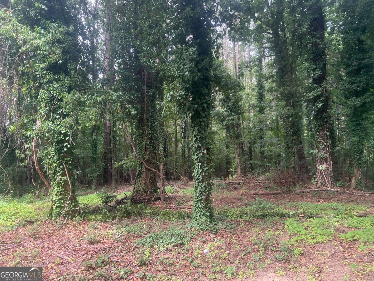 5547 Jonesboro Road Property Photo 11