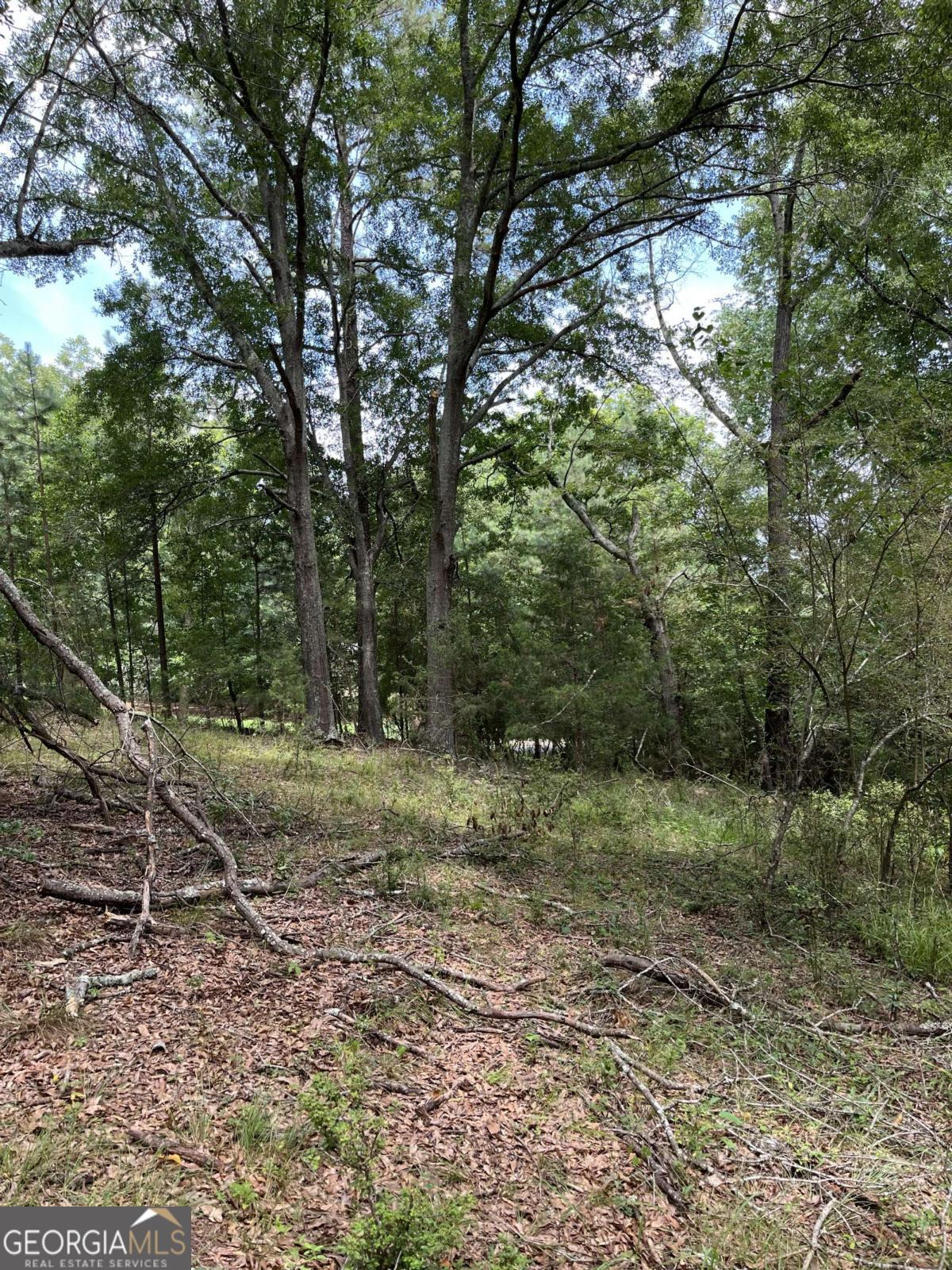1240 Summit Drive Property Photo 5