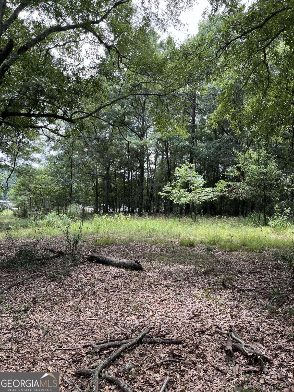 1240 Summit Drive Property Photo 7