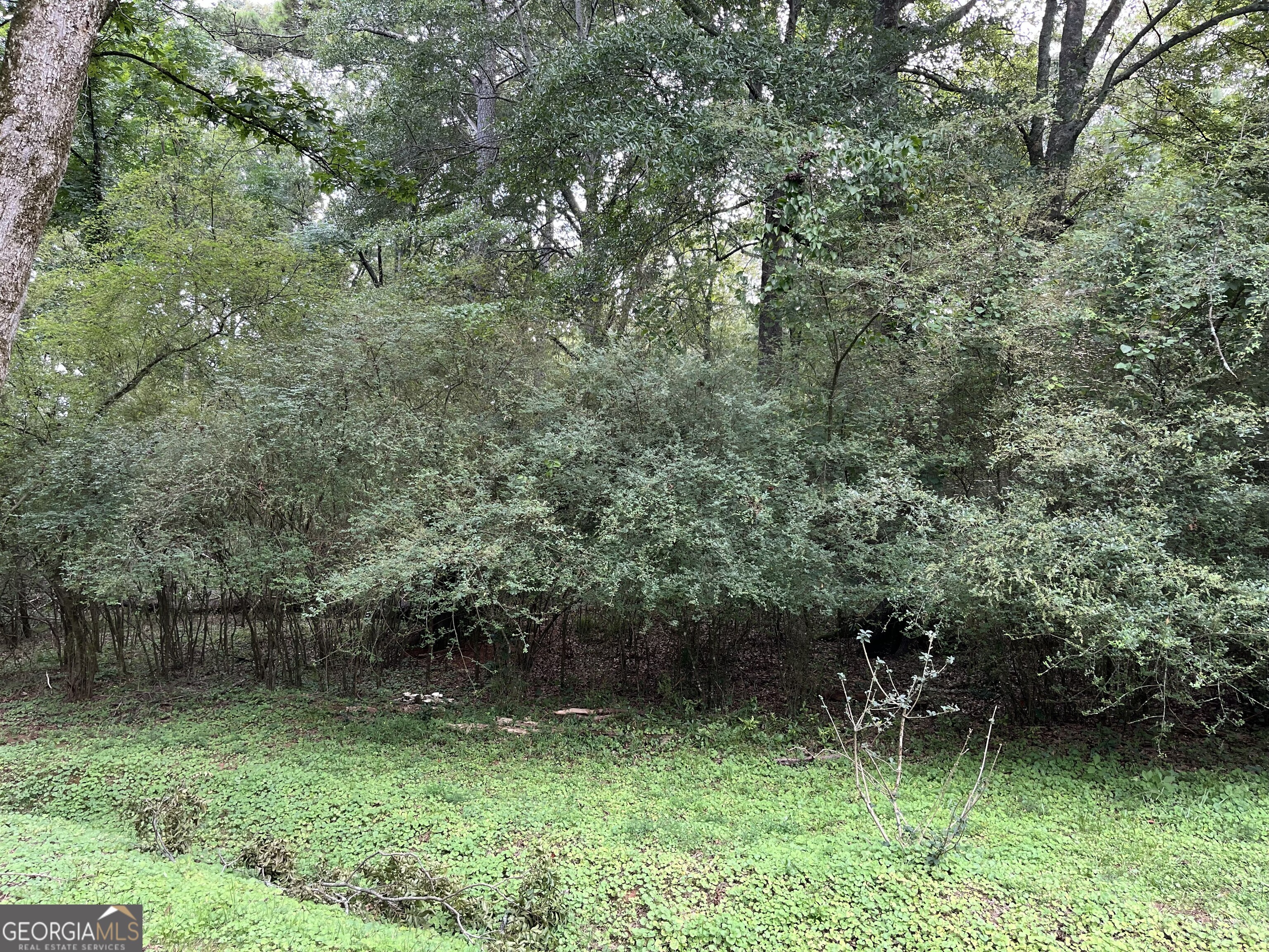 1240 Summit Drive Property Photo 8