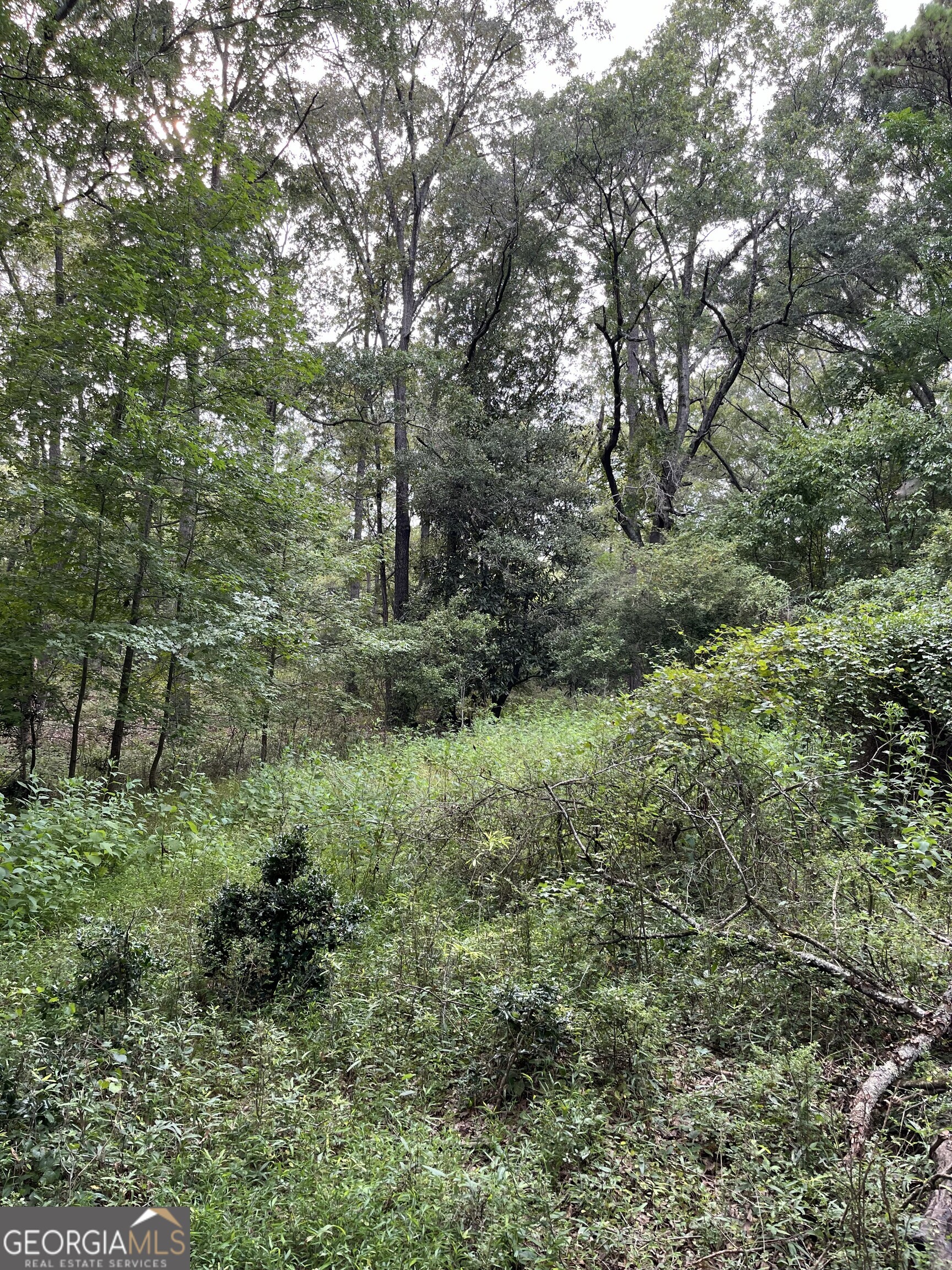 1240 Summit Drive Property Photo 9