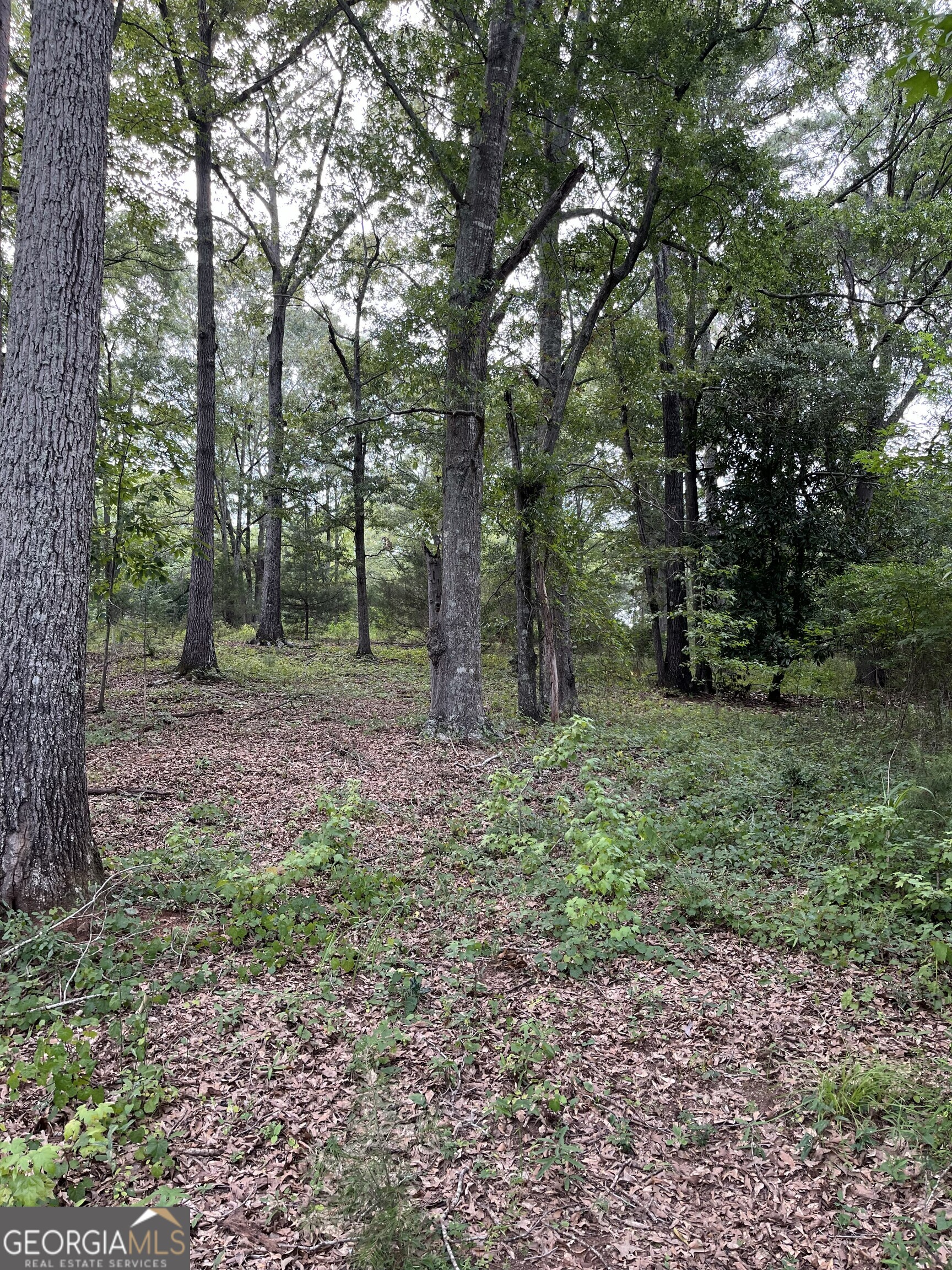 1240 Summit Drive Property Photo 10