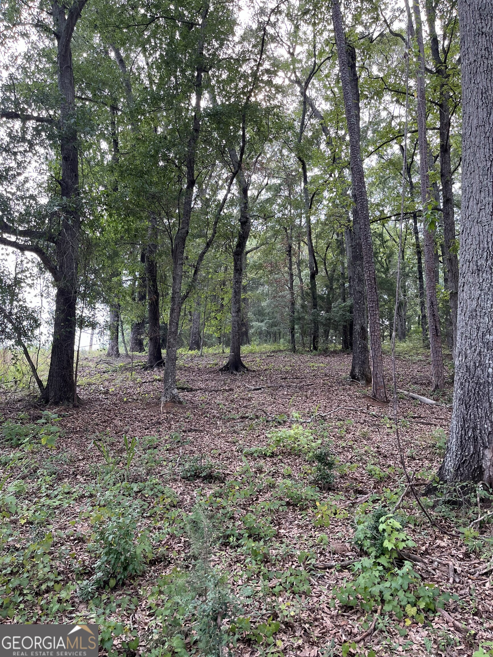 1240 Summit Drive Property Photo 11