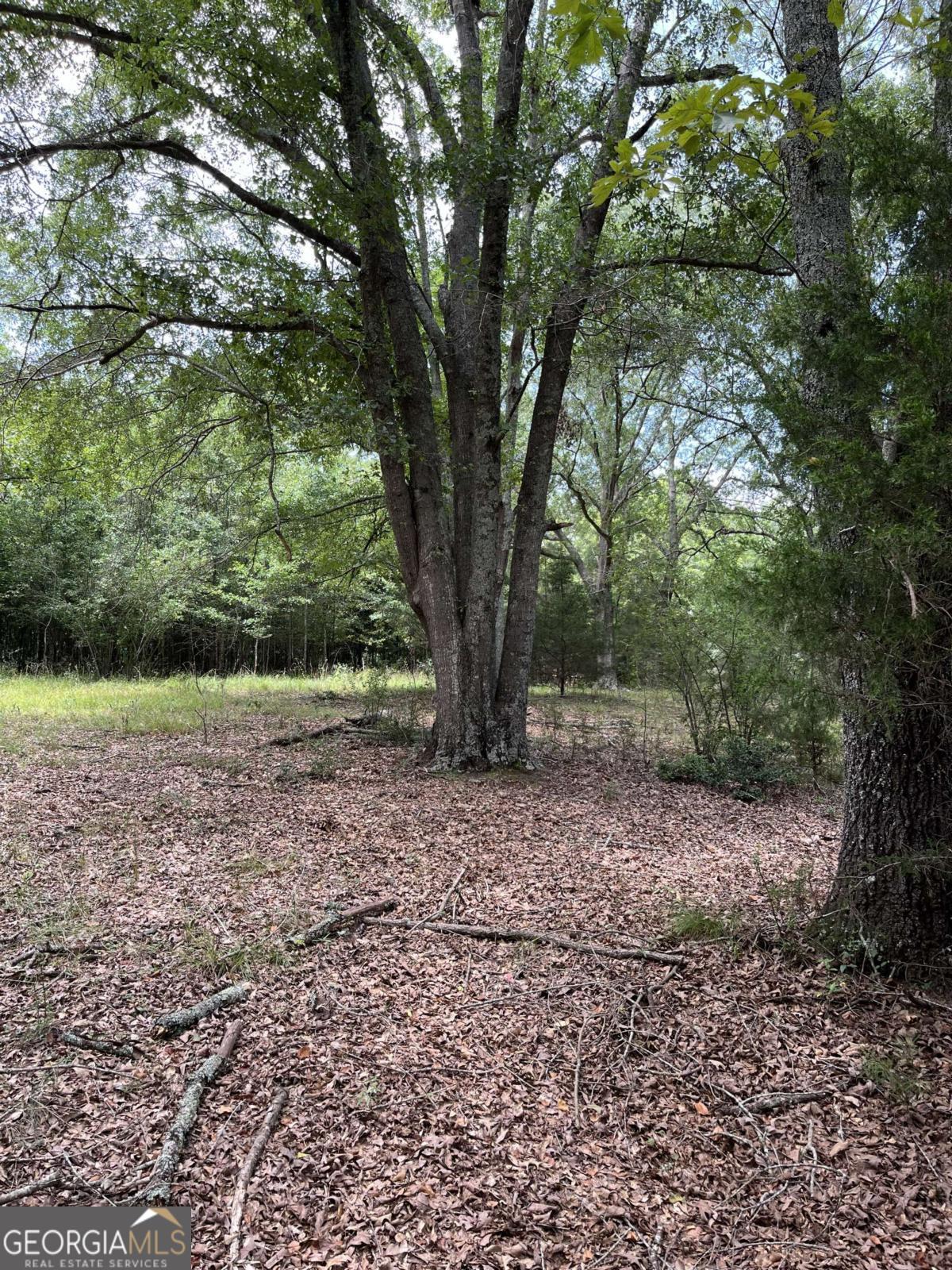 1240 Summit Drive Property Photo 12