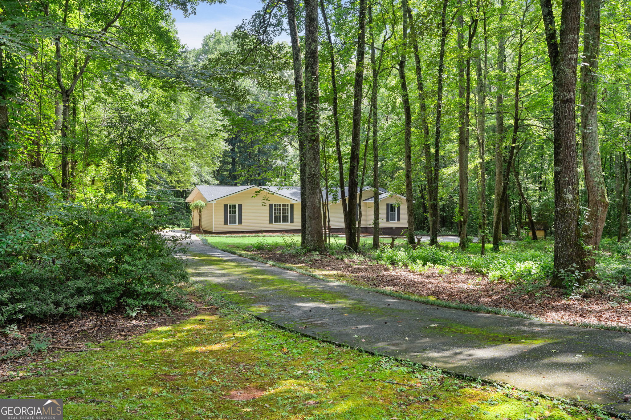 419 Marcella Avenue Property Photo 3