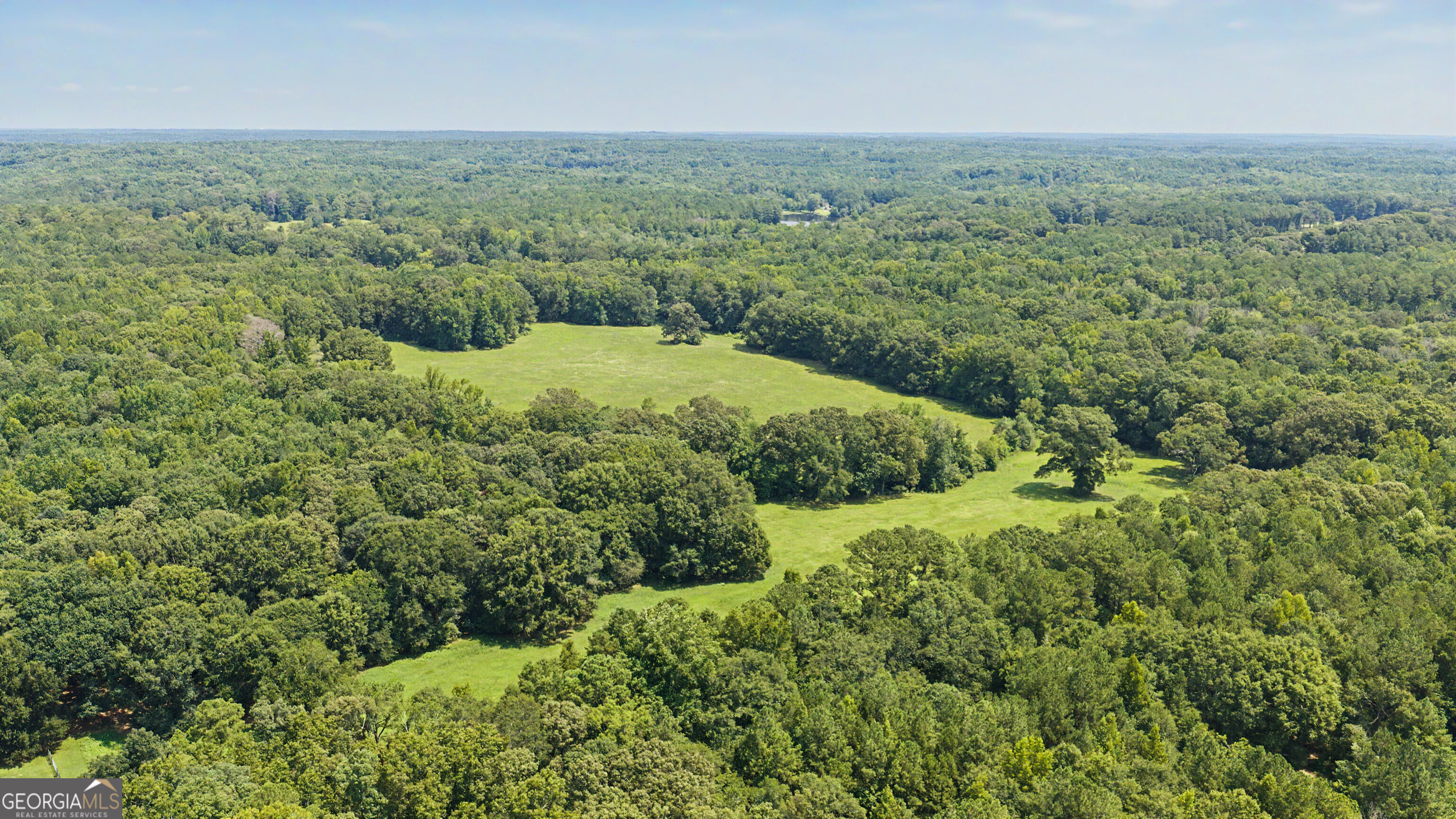 58 Acres Rising Star Road Property Photo 8