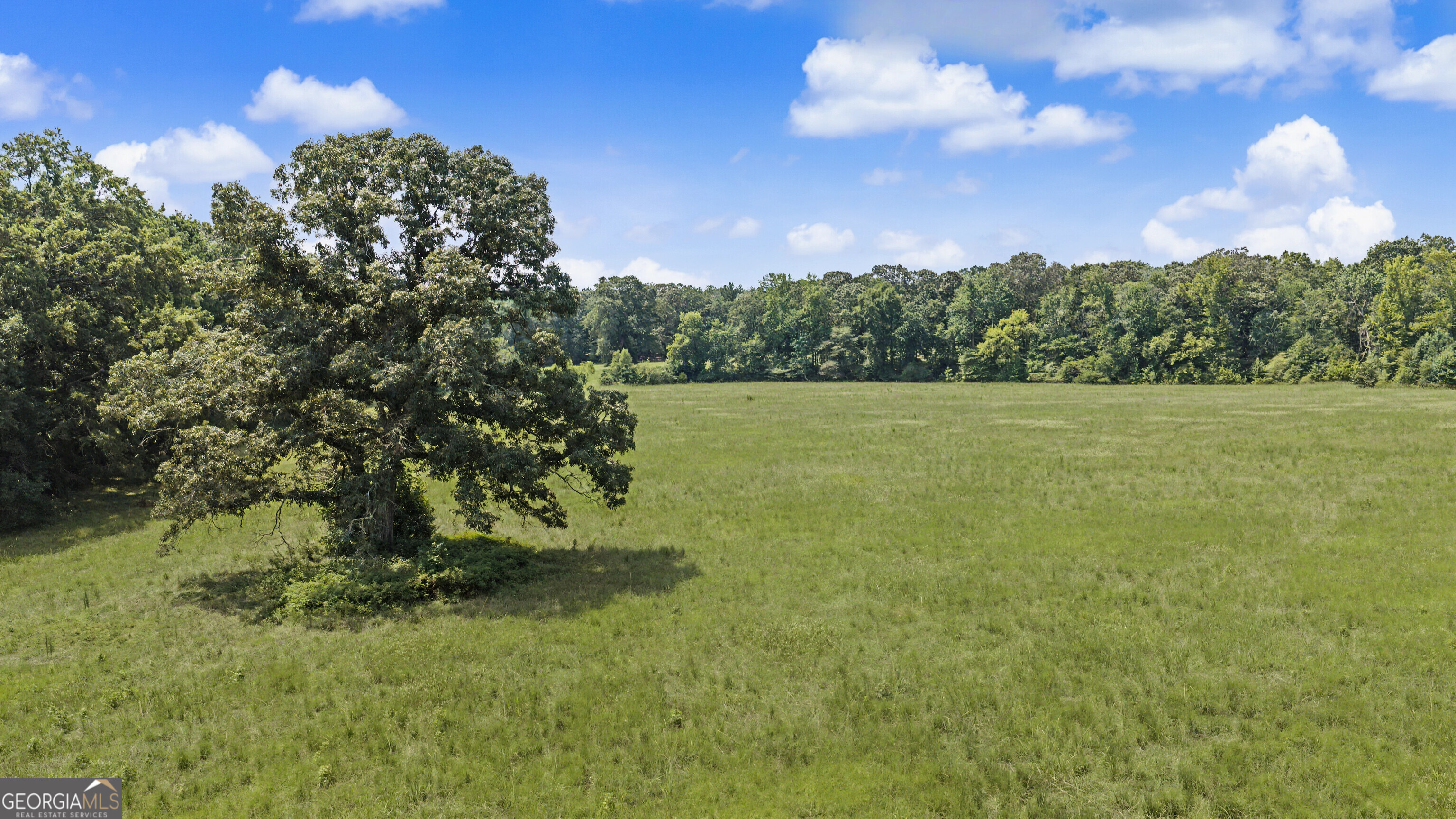 58 Acres Rising Star Road Property Photo 10