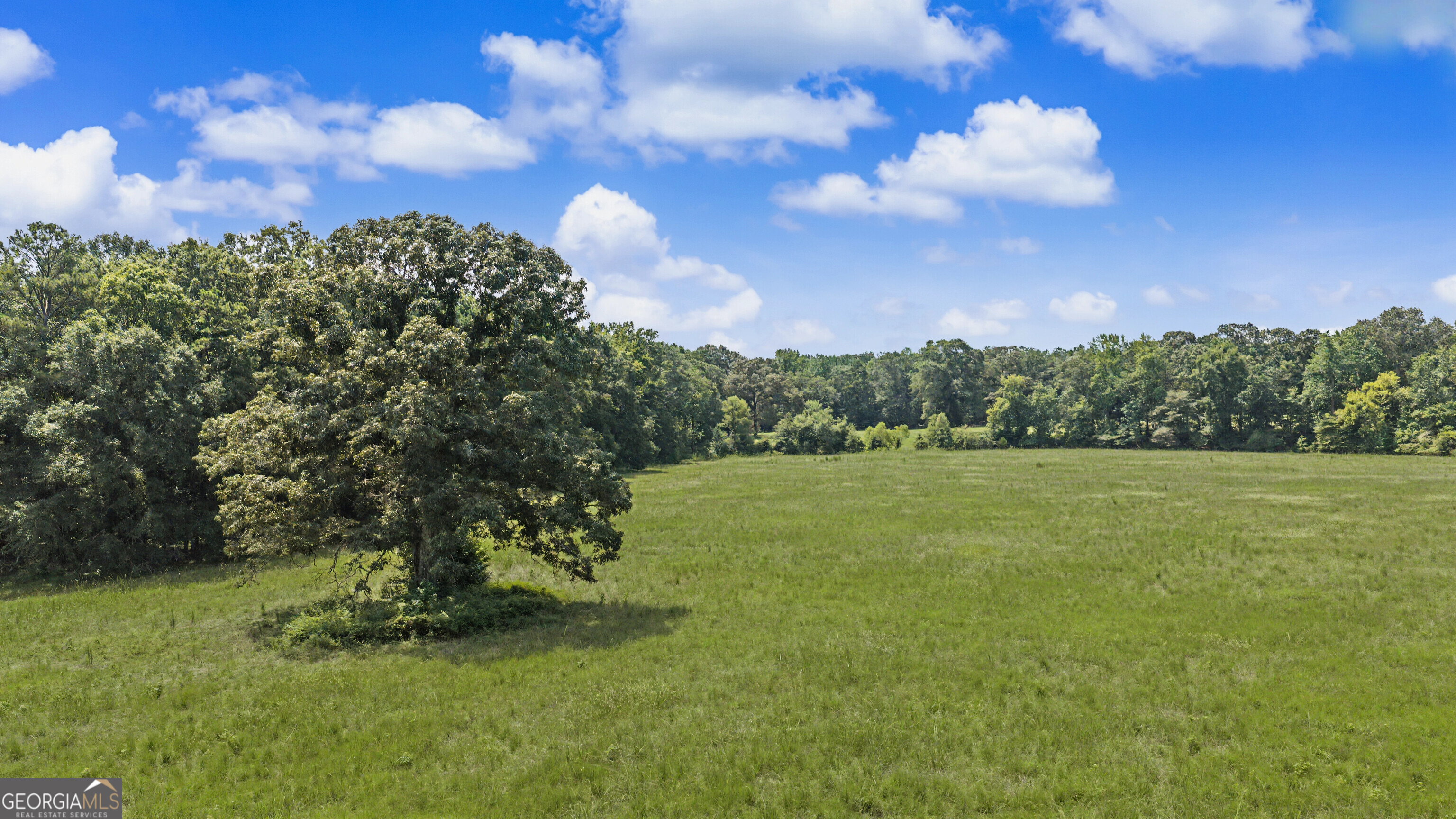 58 Acres Rising Star Road Property Photo 11