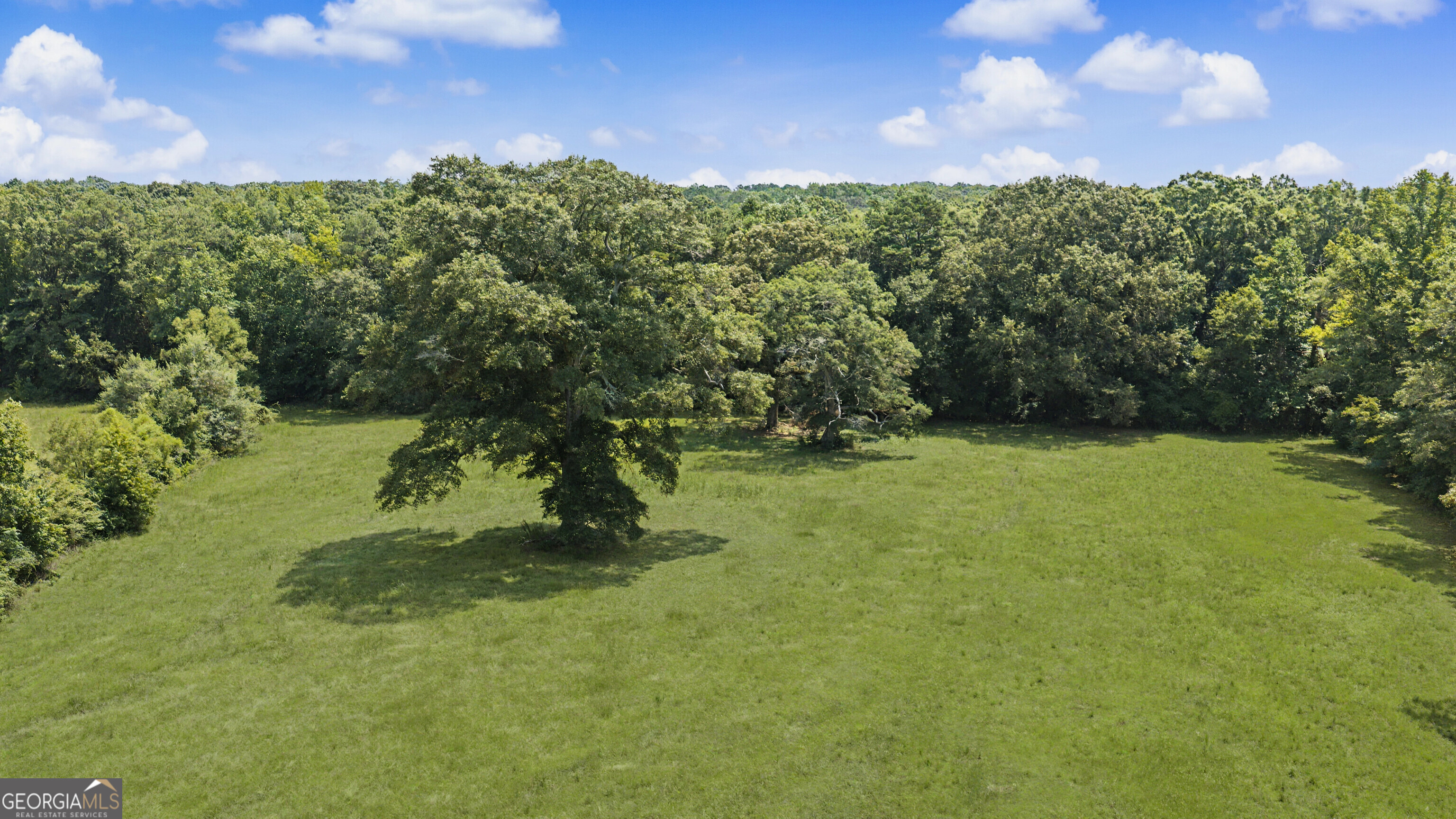 58 Acres Rising Star Road Property Photo 12