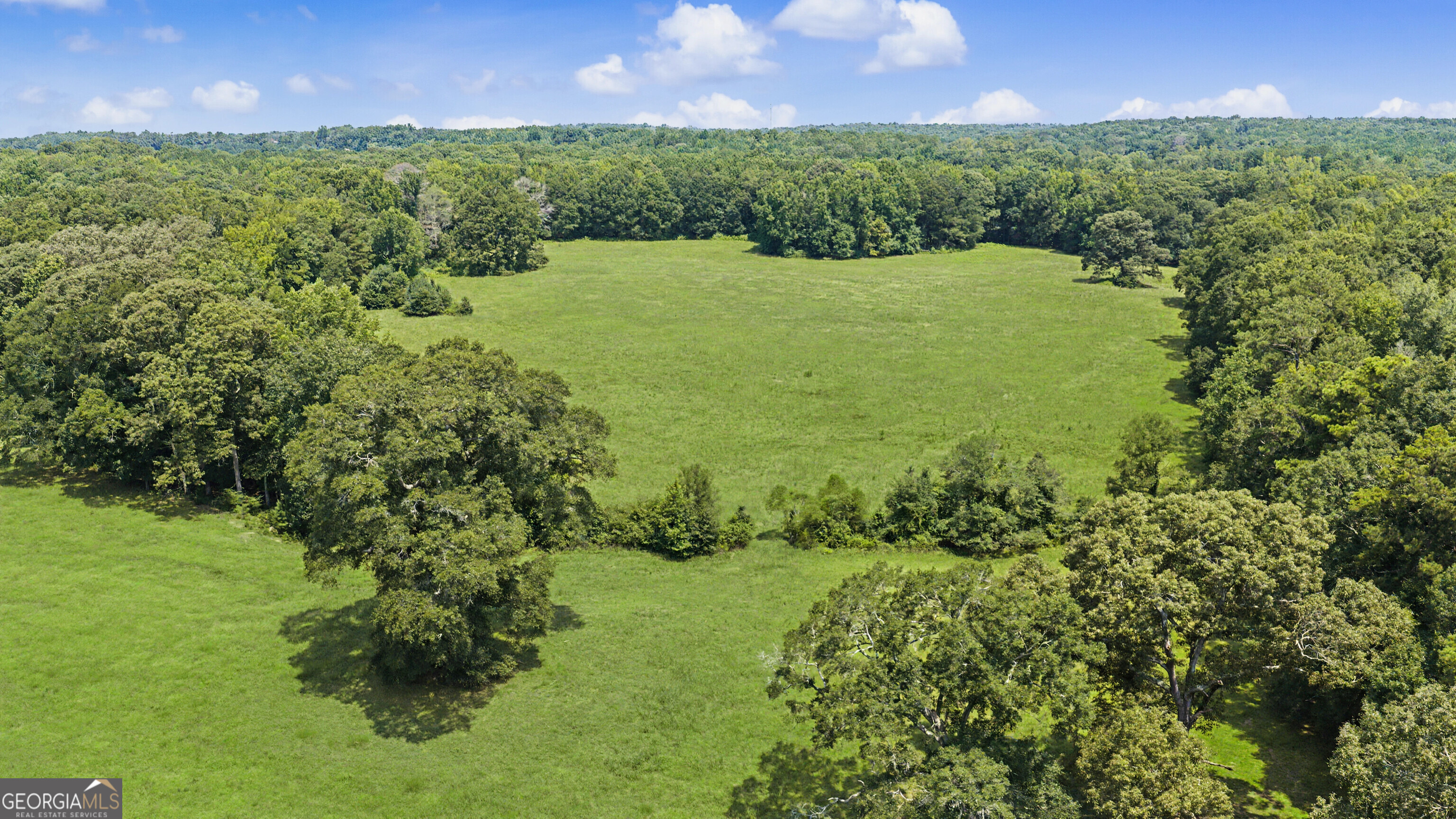 58 Acres Rising Star Road Property Photo 13