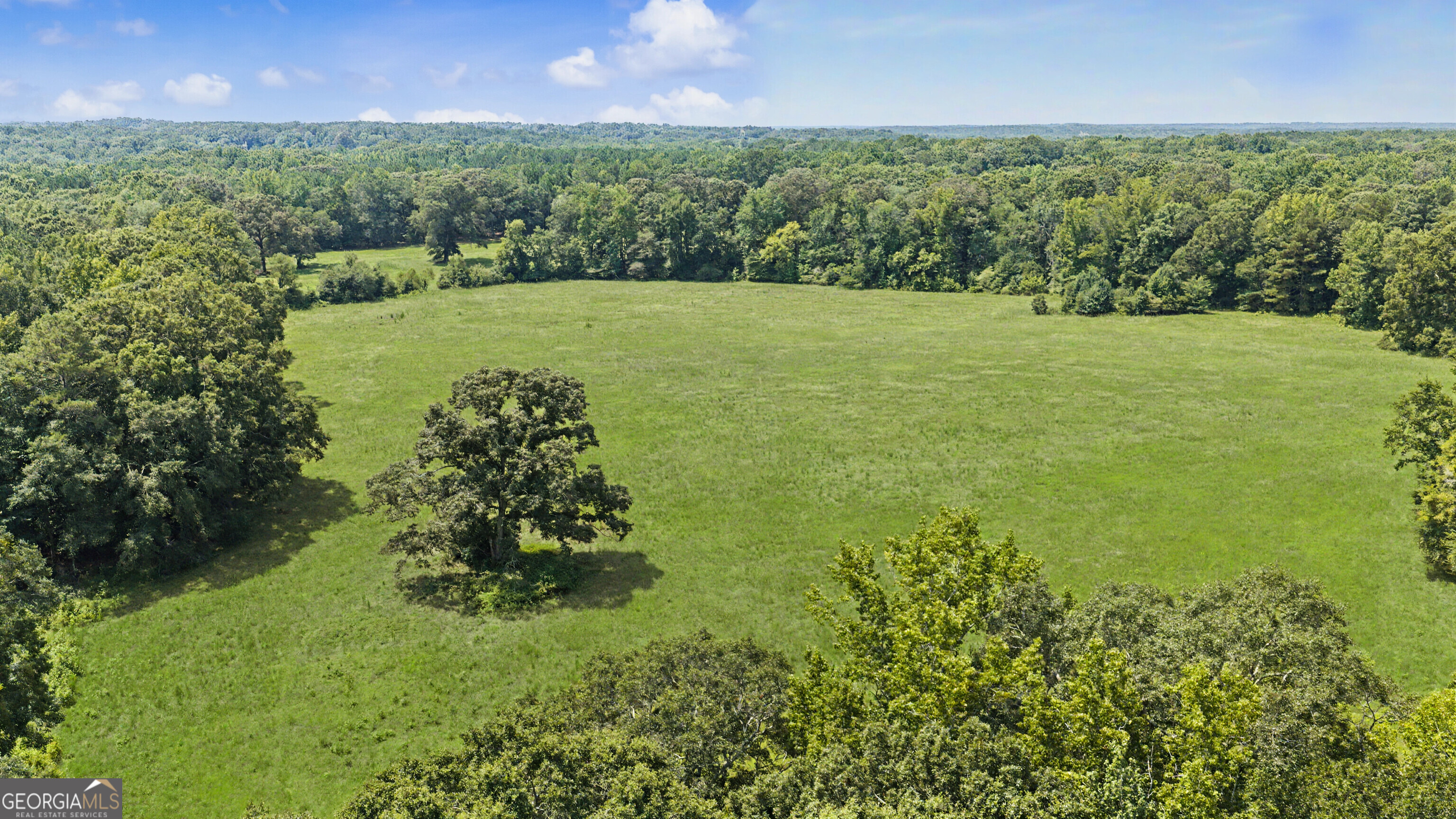 58 Acres Rising Star Road Property Photo 15