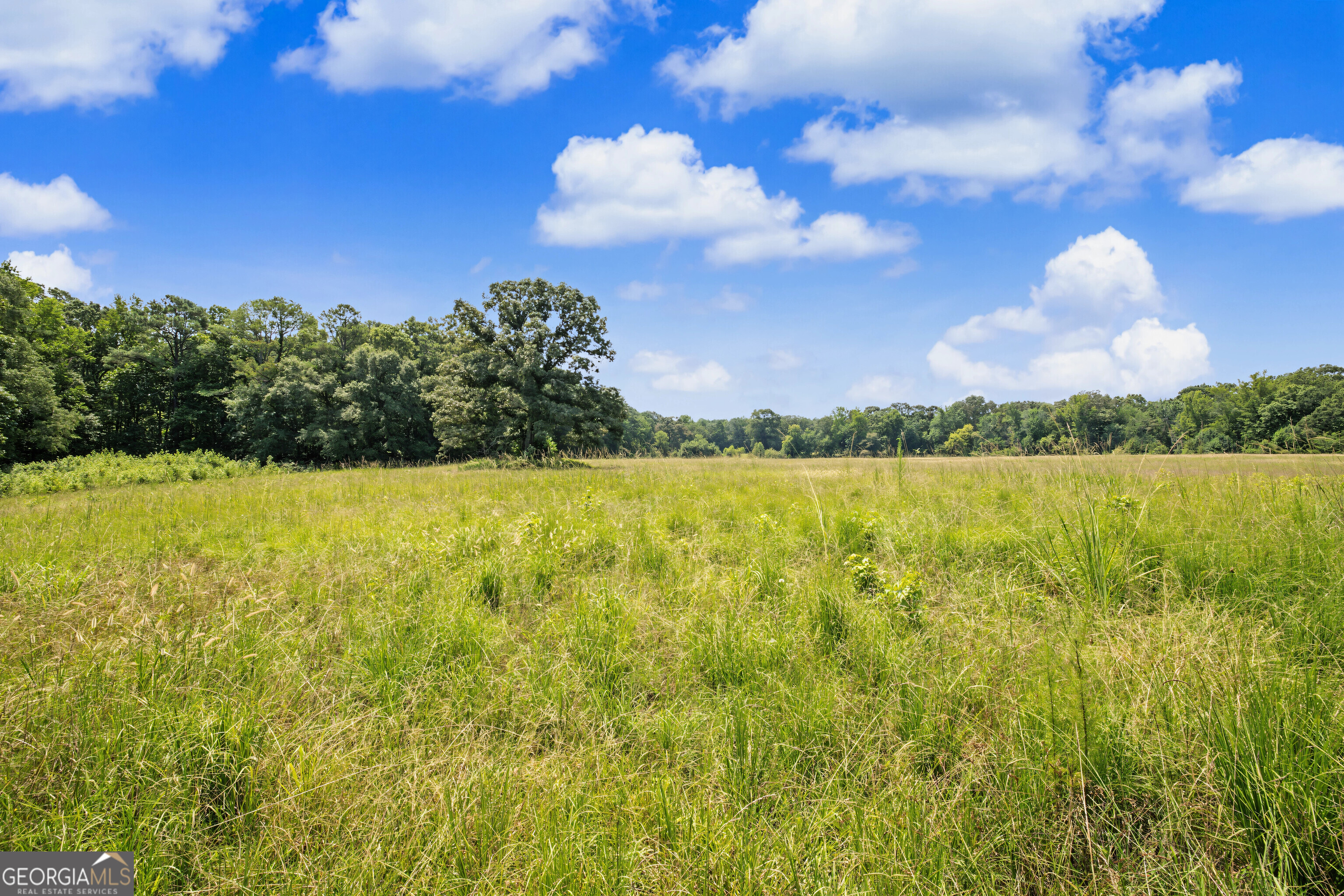 58 Acres Rising Star Road Property Photo 16