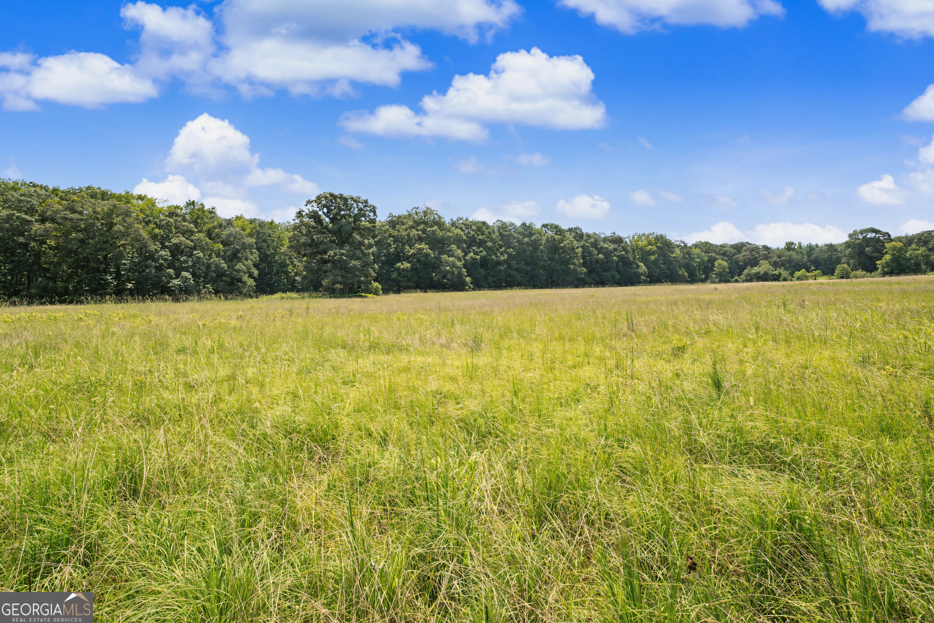 58 Acres Rising Star Road Property Photo 17
