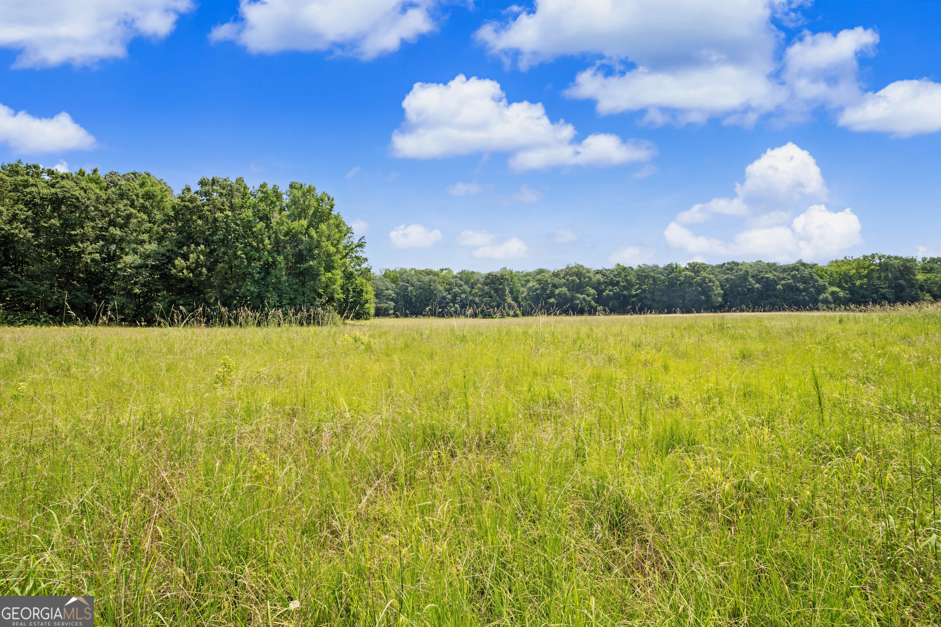 58 Acres Rising Star Road Property Photo 18