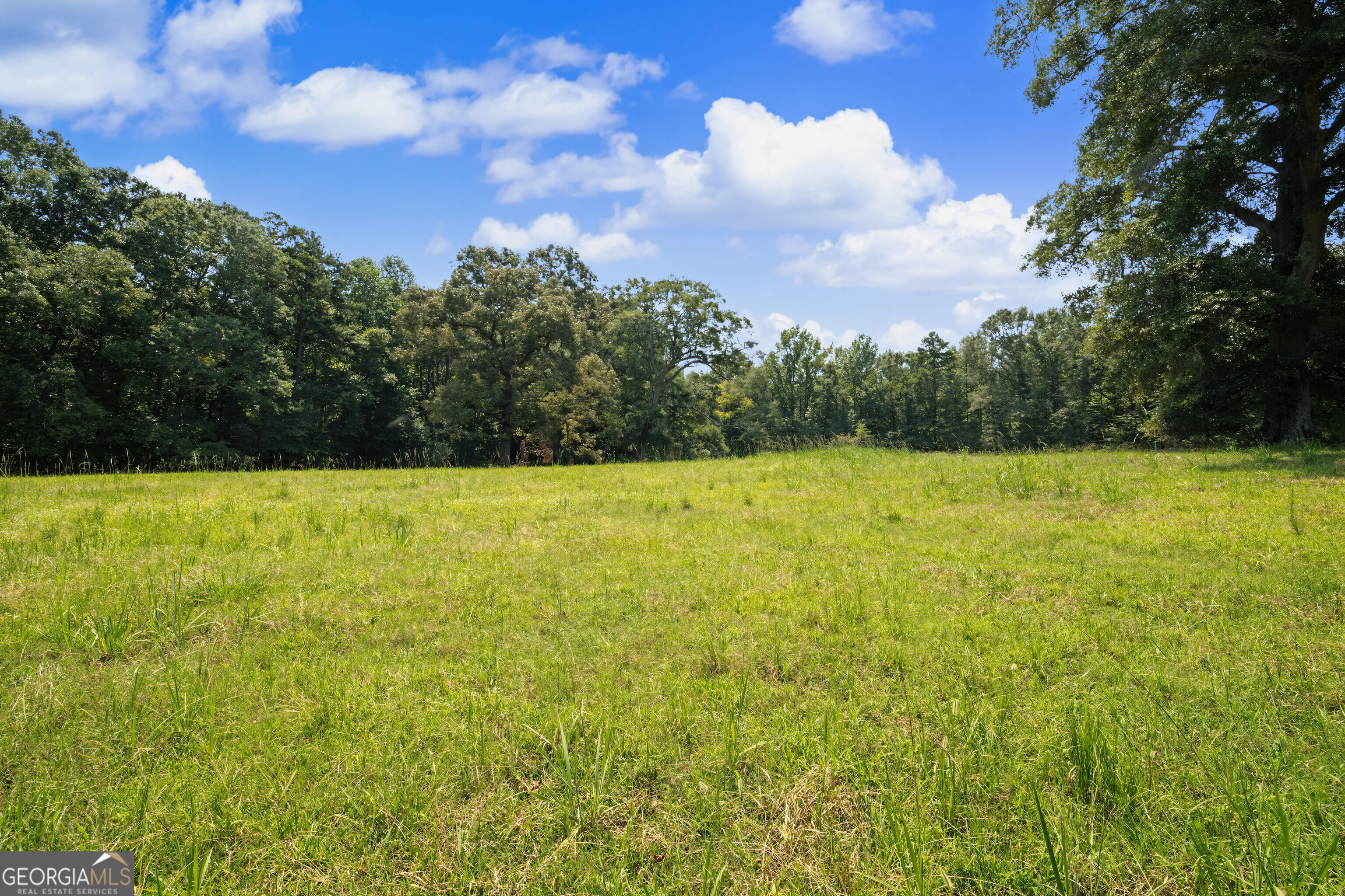 58 Acres Rising Star Road Property Photo 19