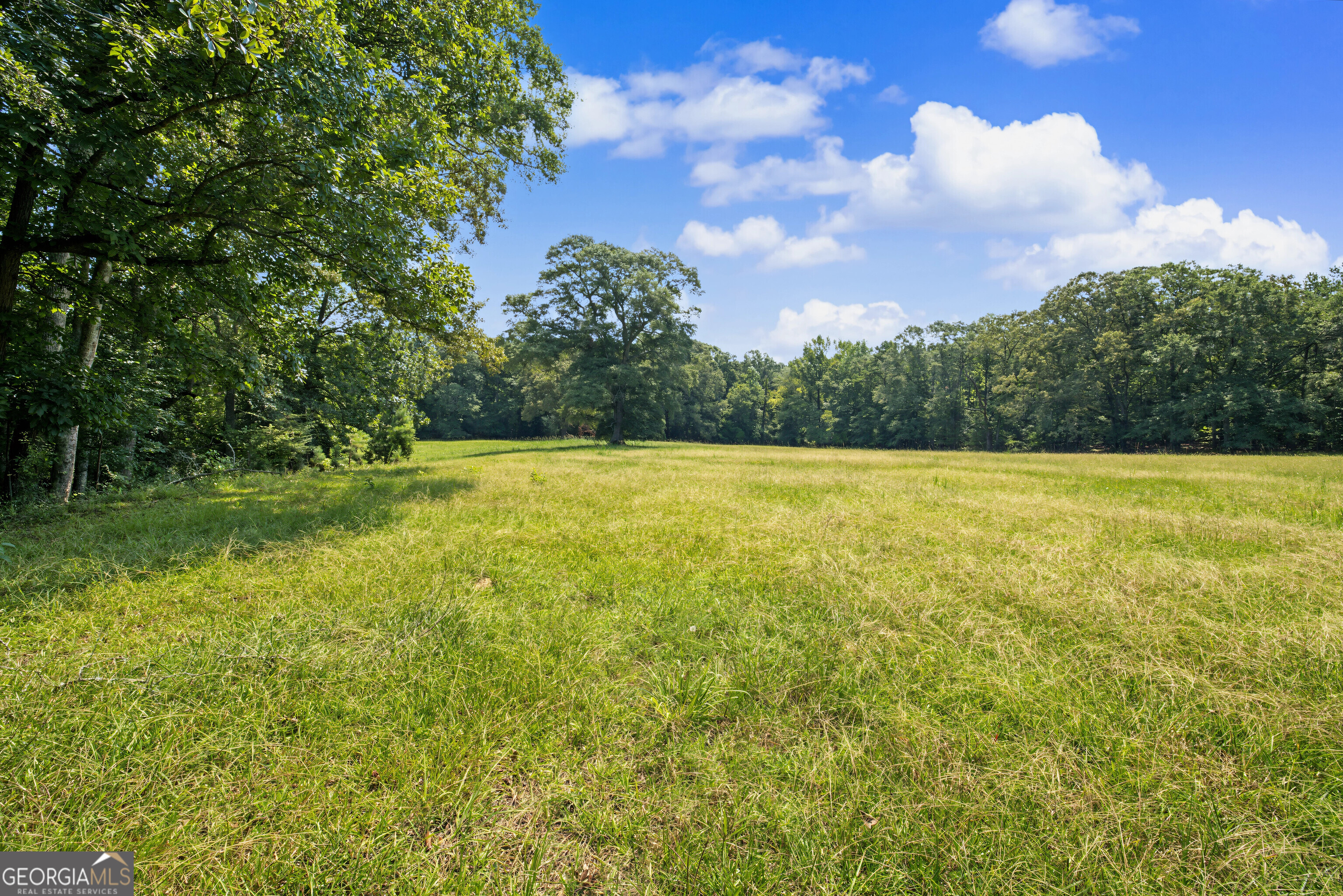 58 Acres Rising Star Road Property Photo 20