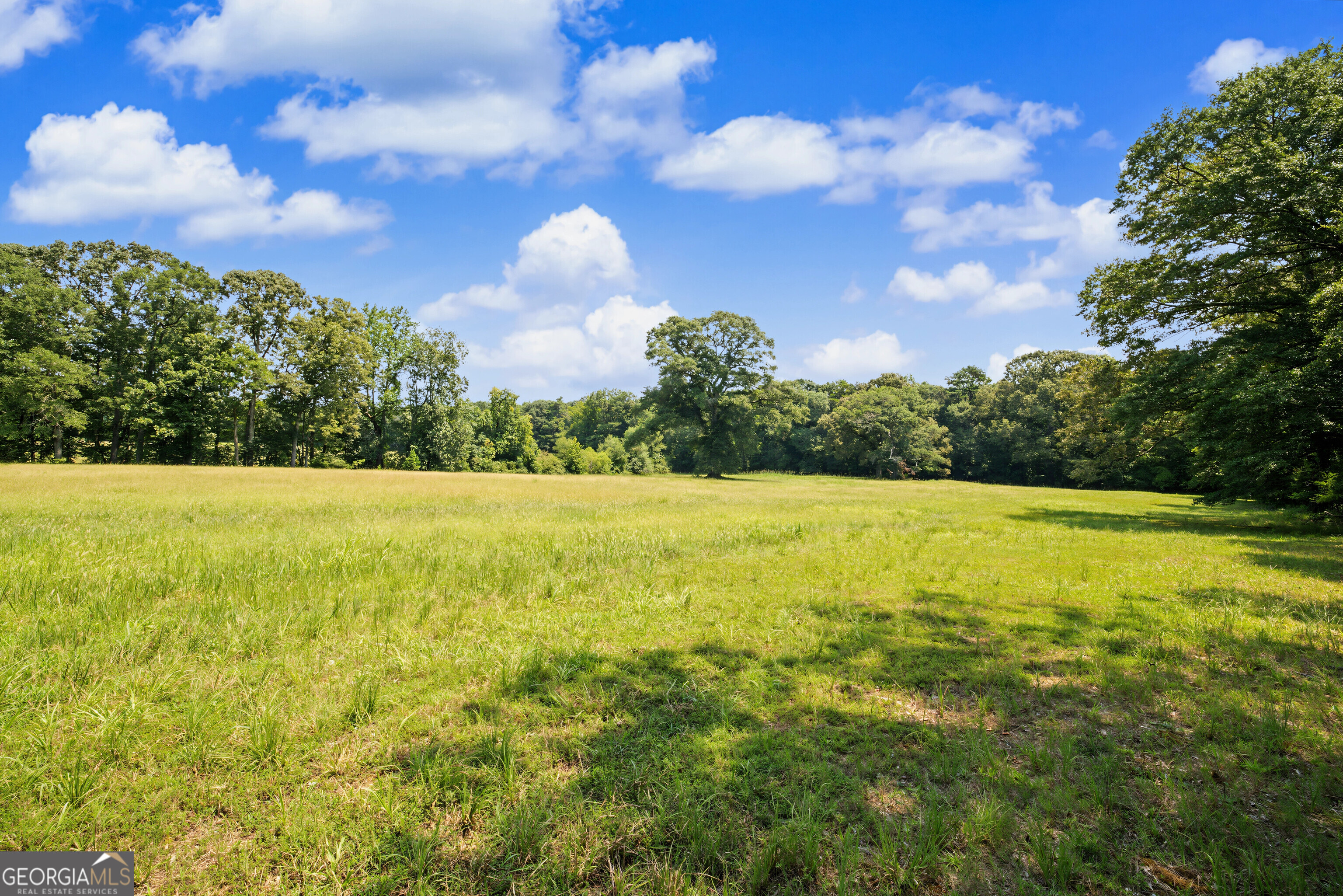 58 Acres Rising Star Road Property Photo 21