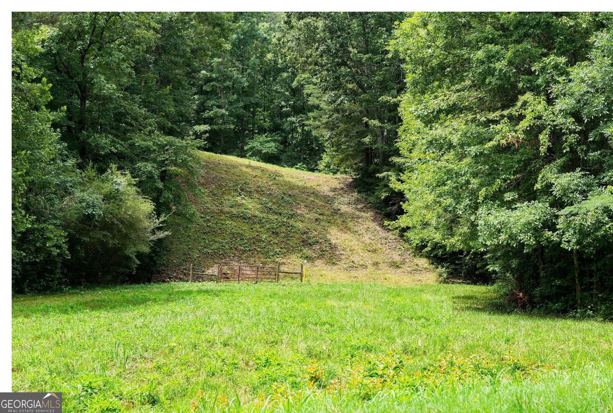 0 Hanes Property Photo 5