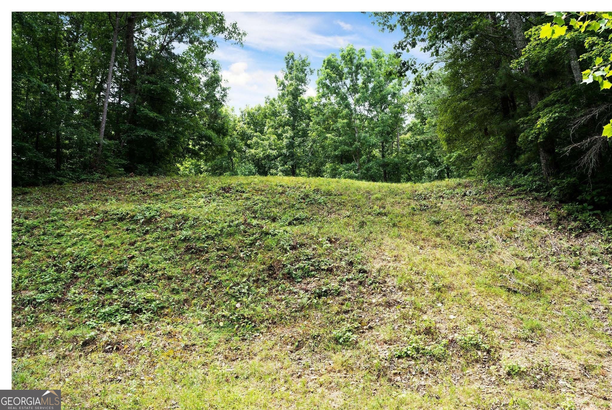 0 Hanes Property Photo 6