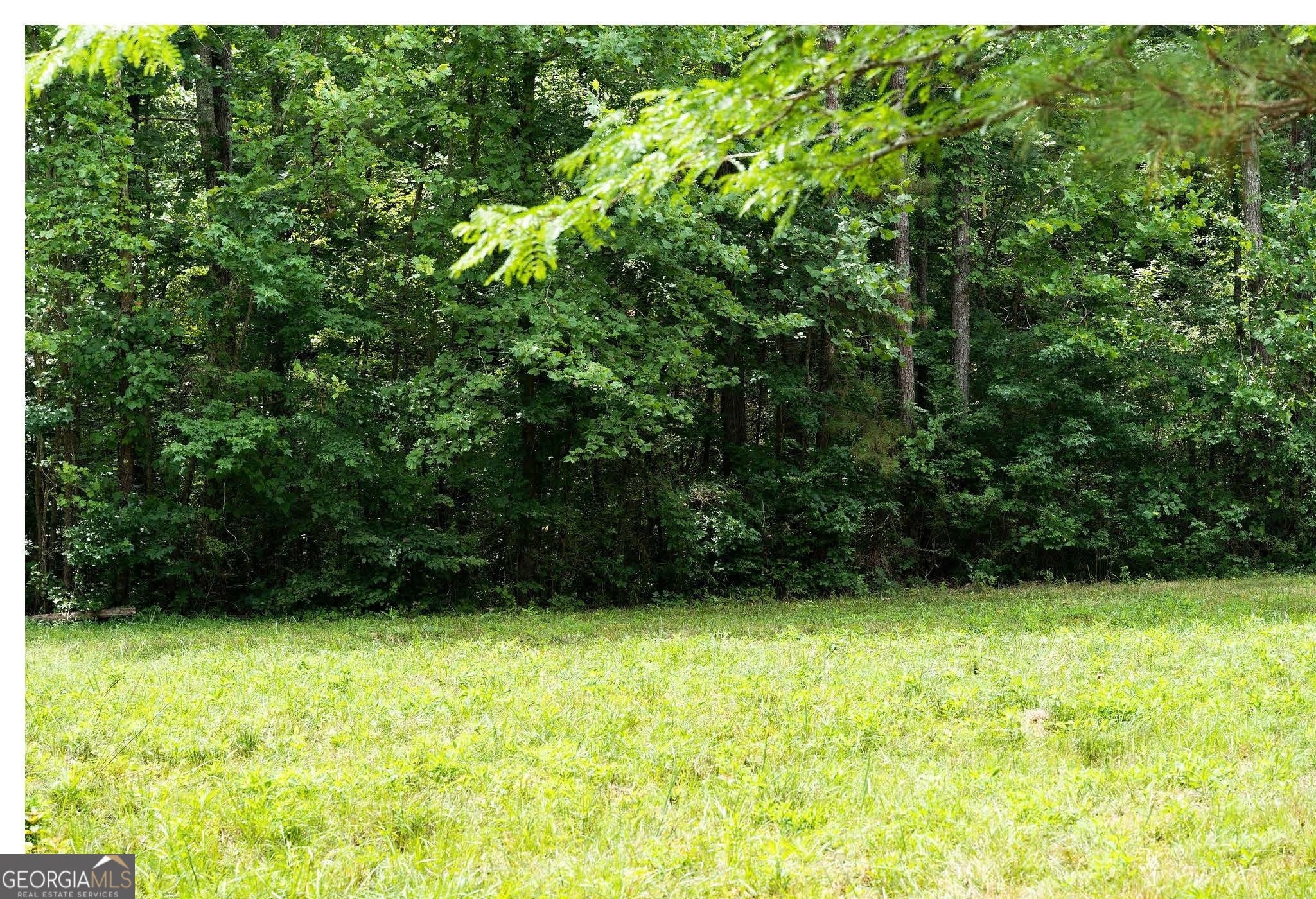 0 Hanes Property Photo 7