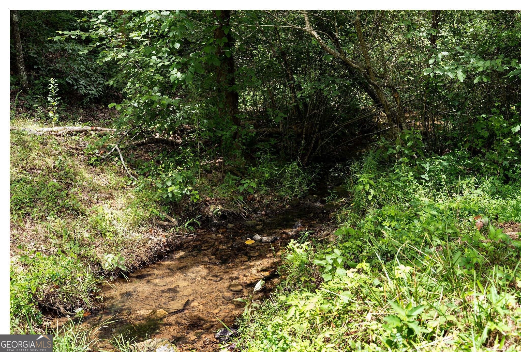 0 Hanes Property Photo 9