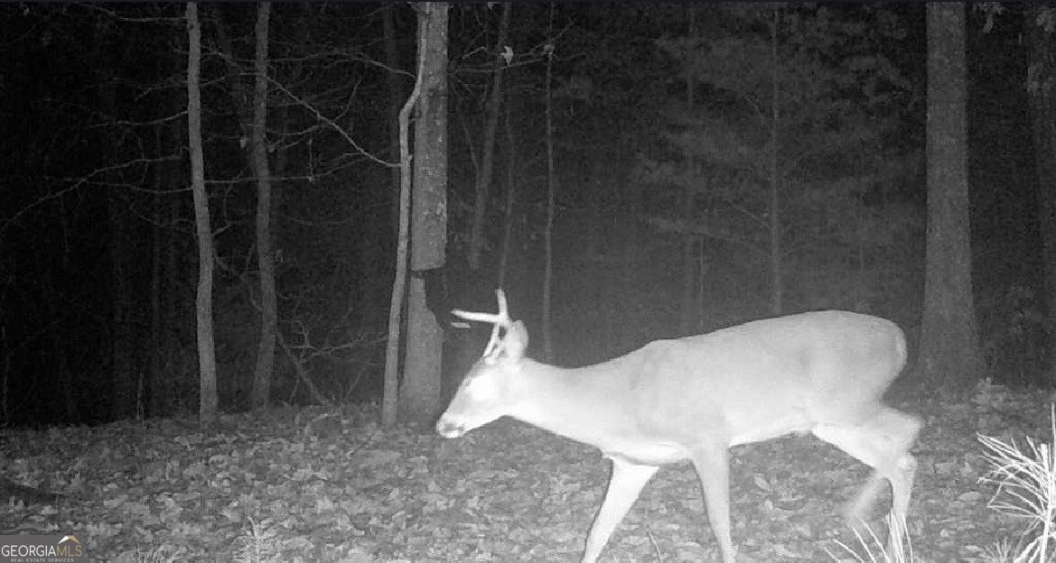 0 Hanes Property Photo 12