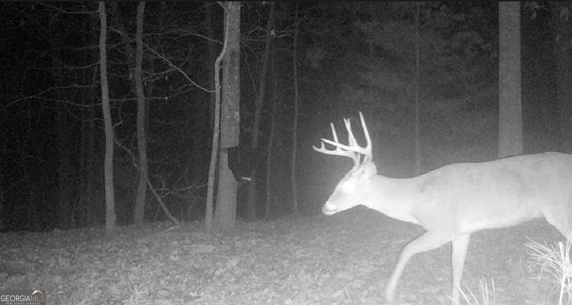 0 Hanes Property Photo 13