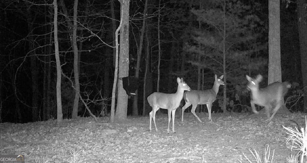 0 Hanes Property Photo 15