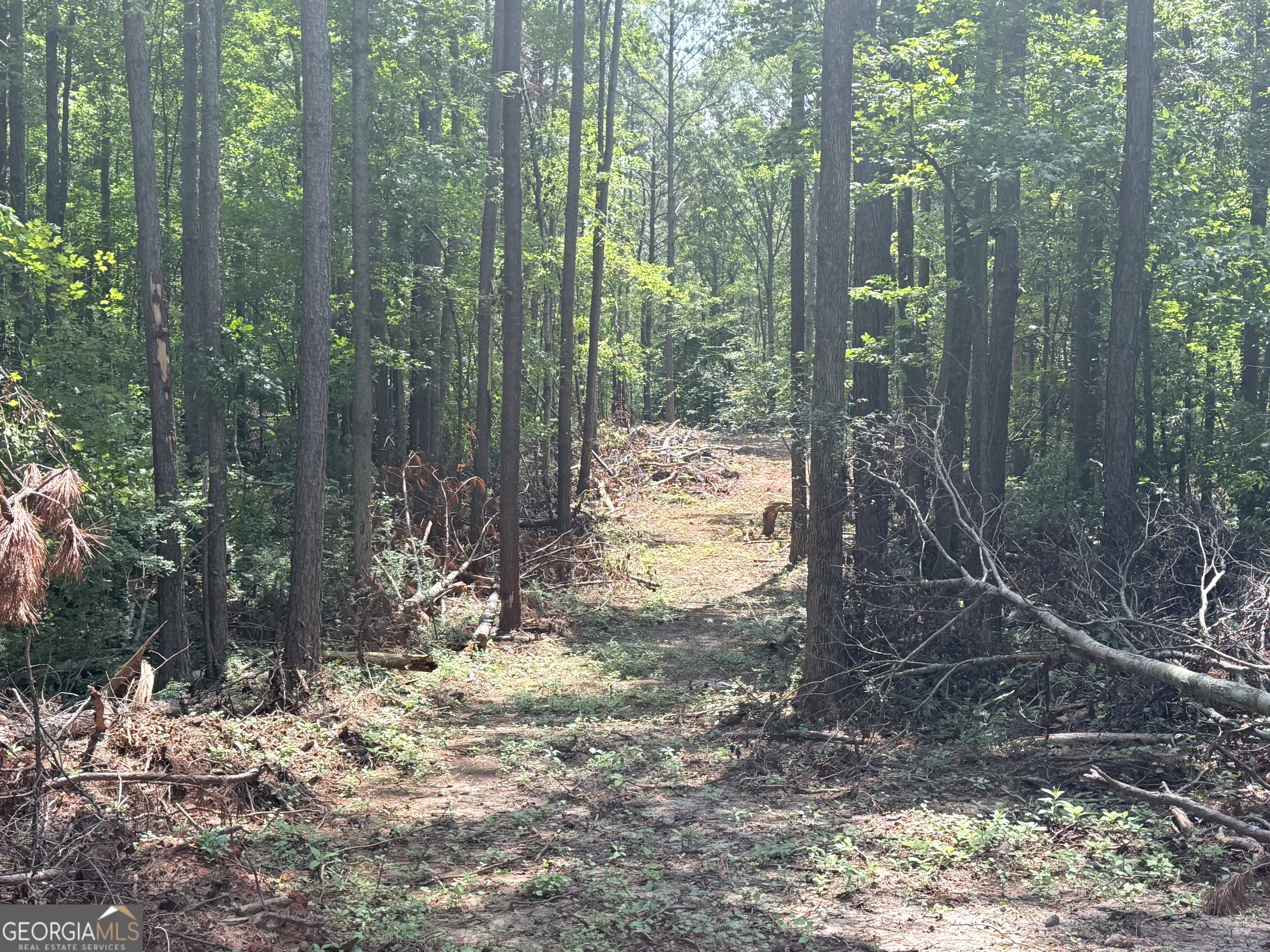6887 Mt Zion Road Property Photo 1