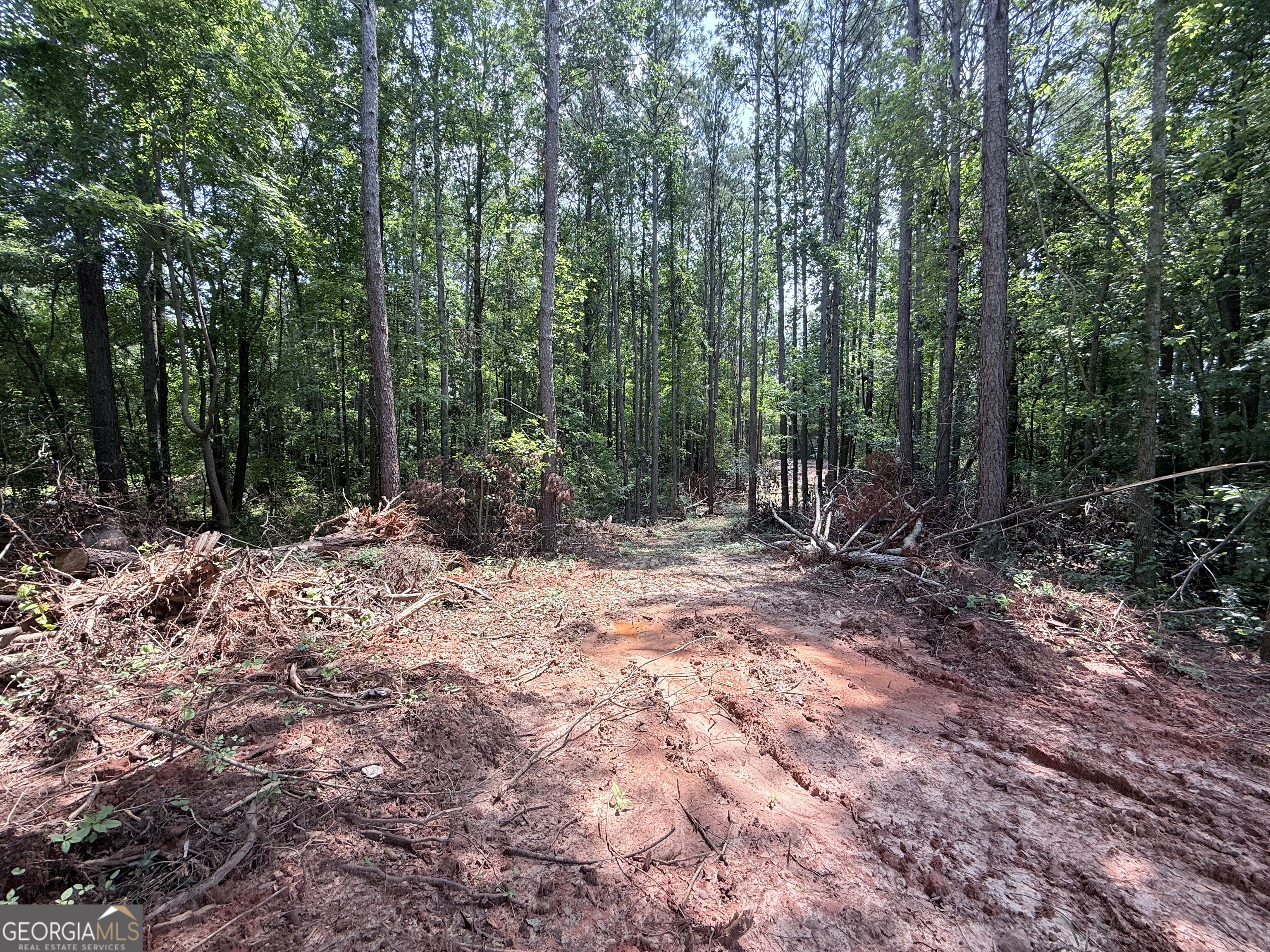 6887 Mt Zion Road Property Photo 2