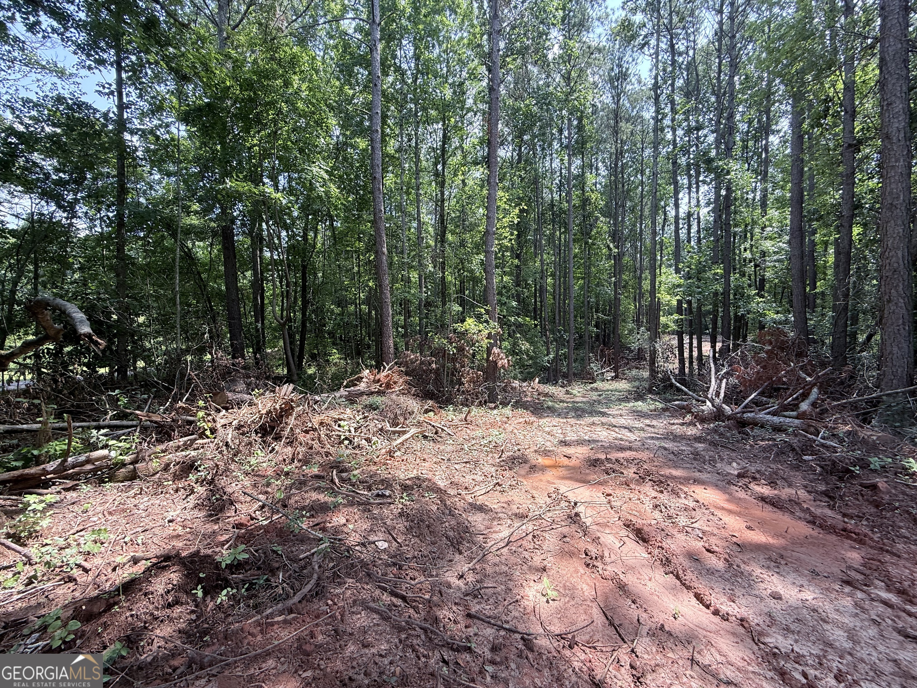 6887 Mt Zion Road Property Photo 3