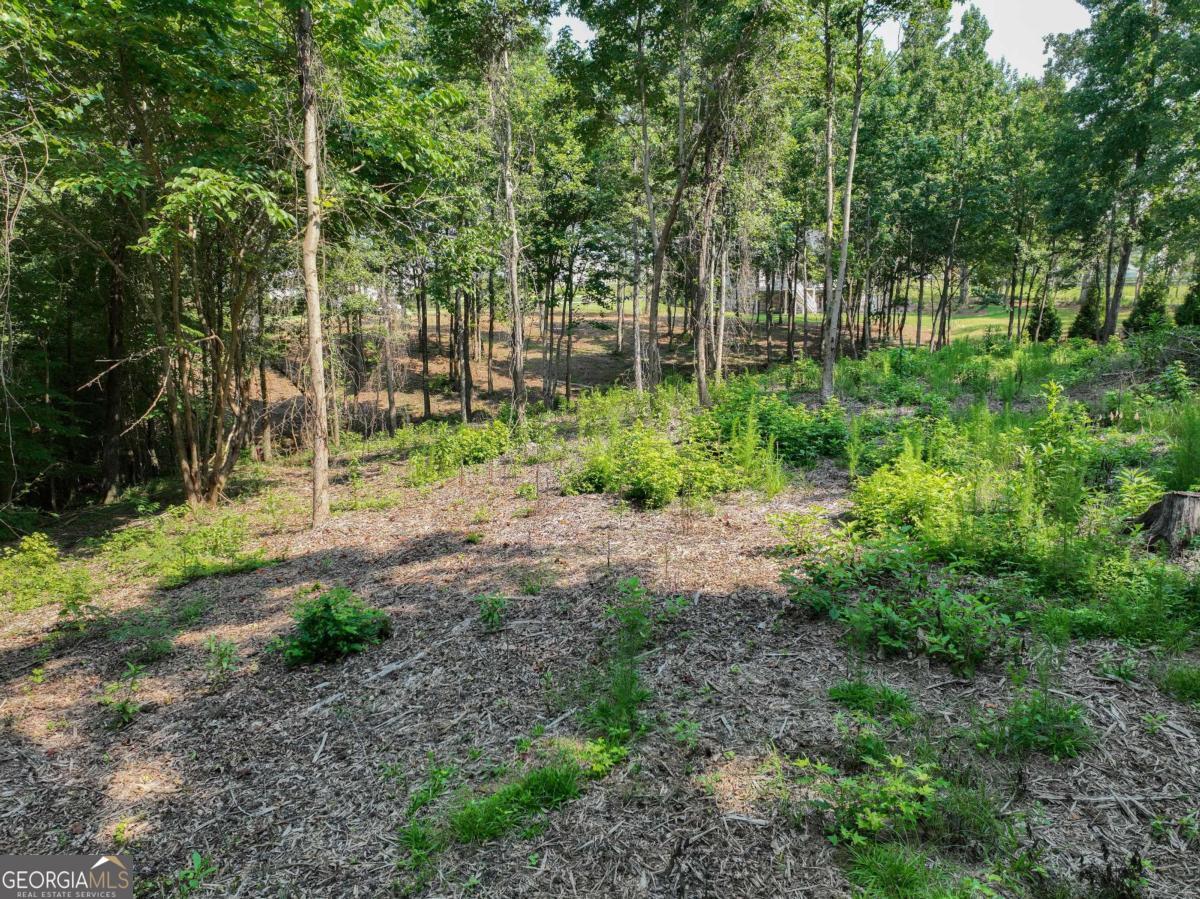 2789 Malcom Estates Ridge Lot 28 Property Photo 5
