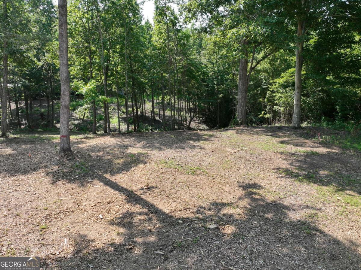 2789 Malcom Estates Ridge Lot 28 Property Photo 11