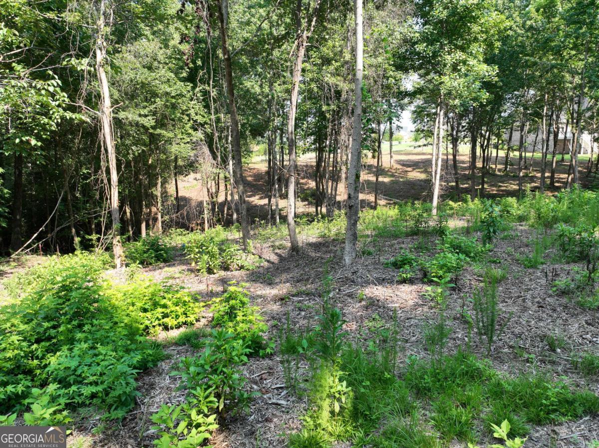2789 Malcom Estates Ridge Lot 28 Property Photo 17