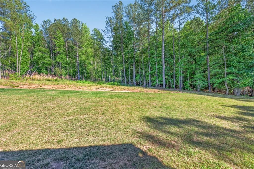 1537 Ridgewood Court Property Photo 44