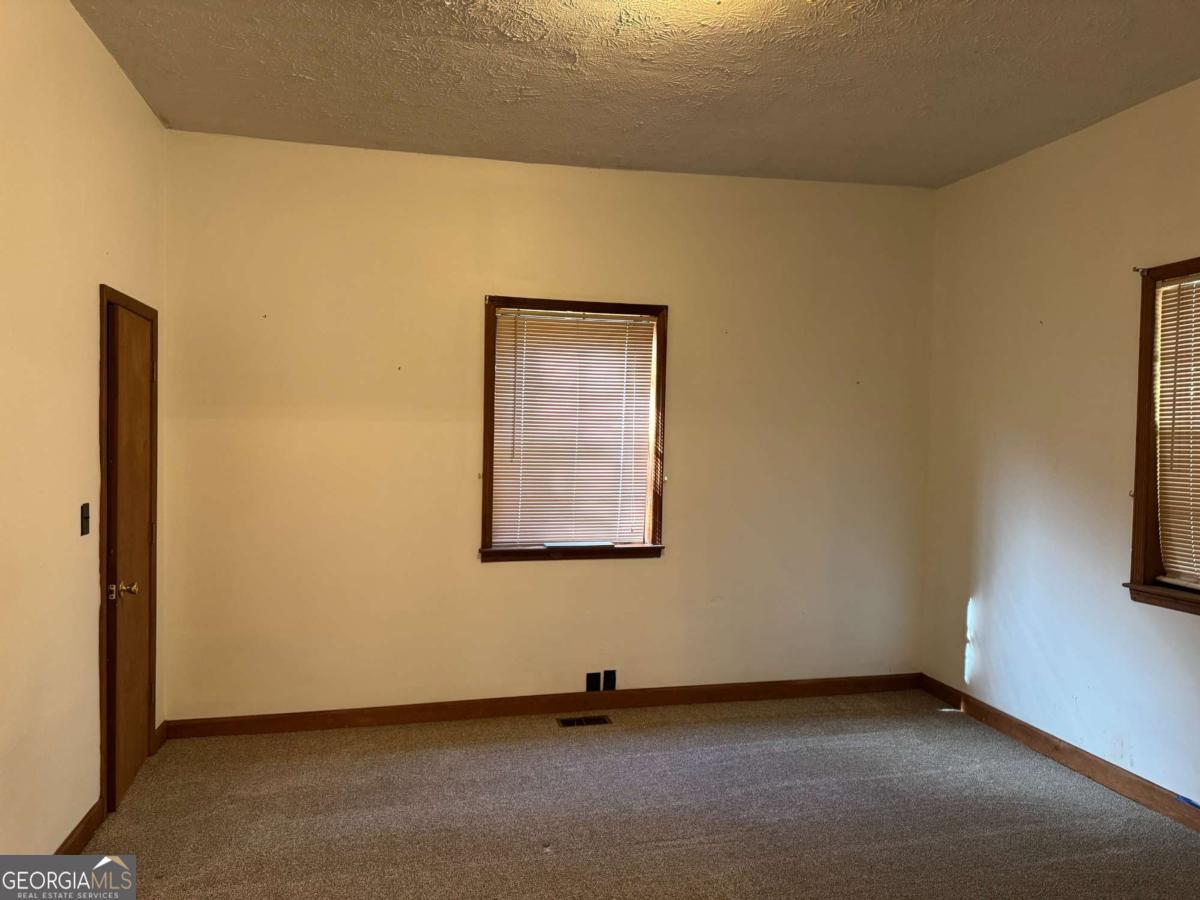 313 Carter Street Property Photo 8