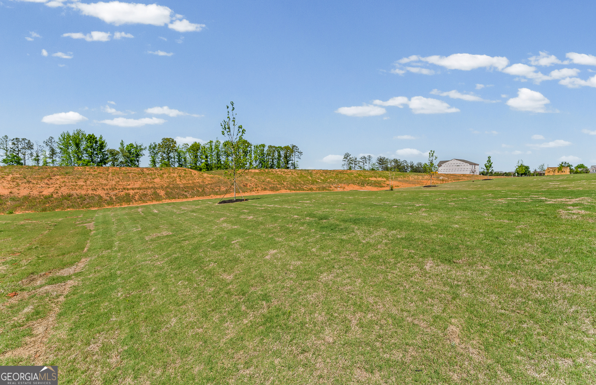 636 Vidalia Park Way Property Photo 25