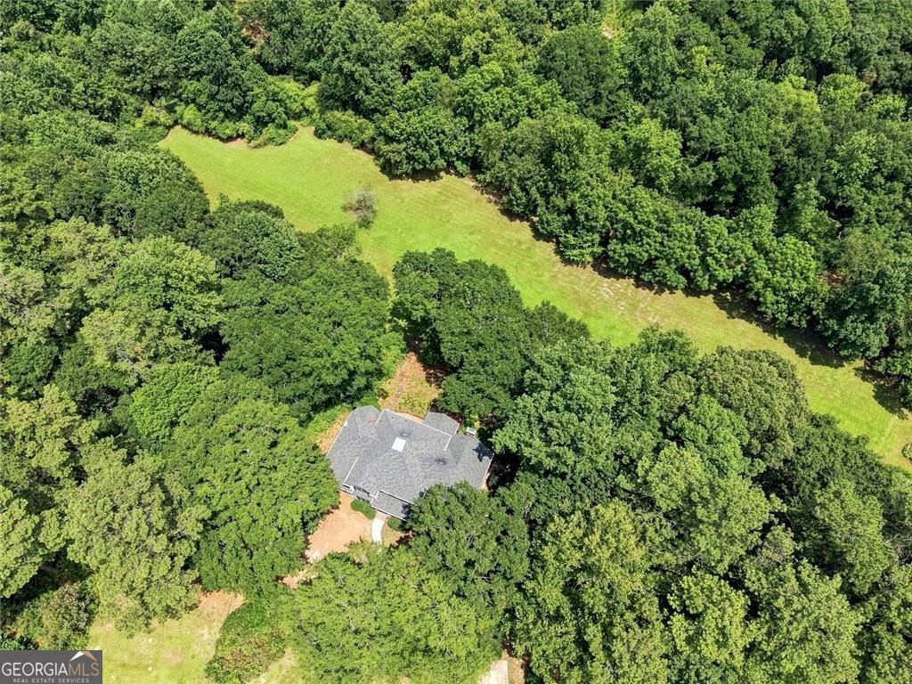 990 Bramlett Shoals Road Property Photo 18